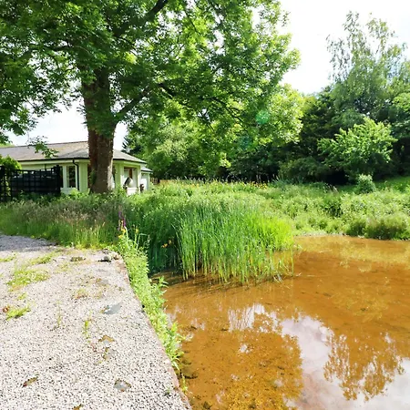 Bulrush Carlisle (Cumbria)