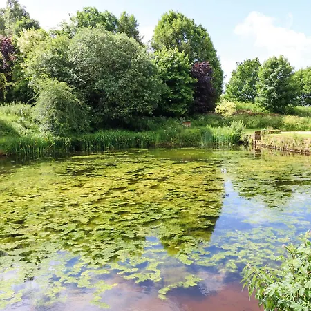 Bulrush Carlisle (Cumbria)