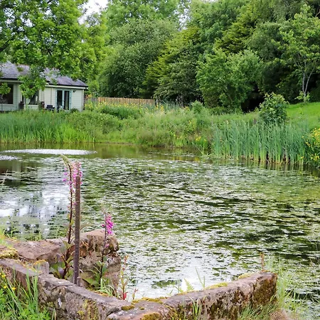 Bulrush